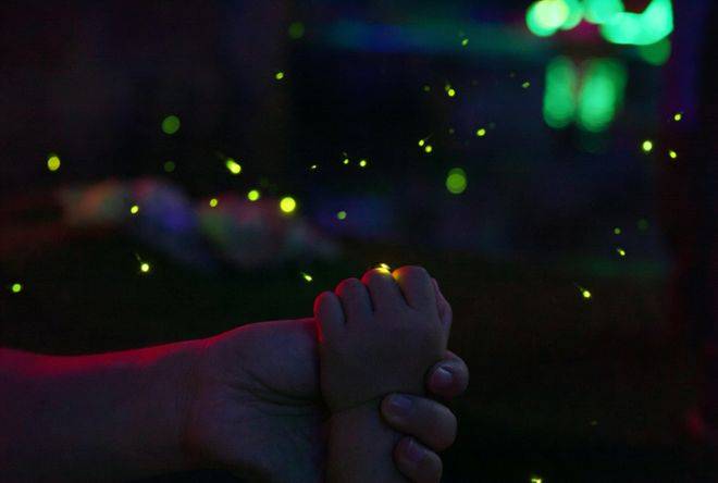 春假，螢火蟲水洞.地下大峽谷旅遊區“野味”十足！