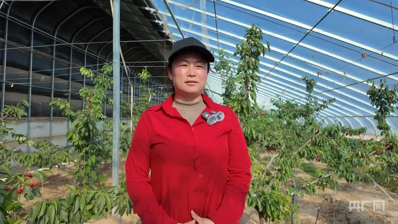 從“沙”到“金”：閩寧協作+工會賦能點亮移民致富路