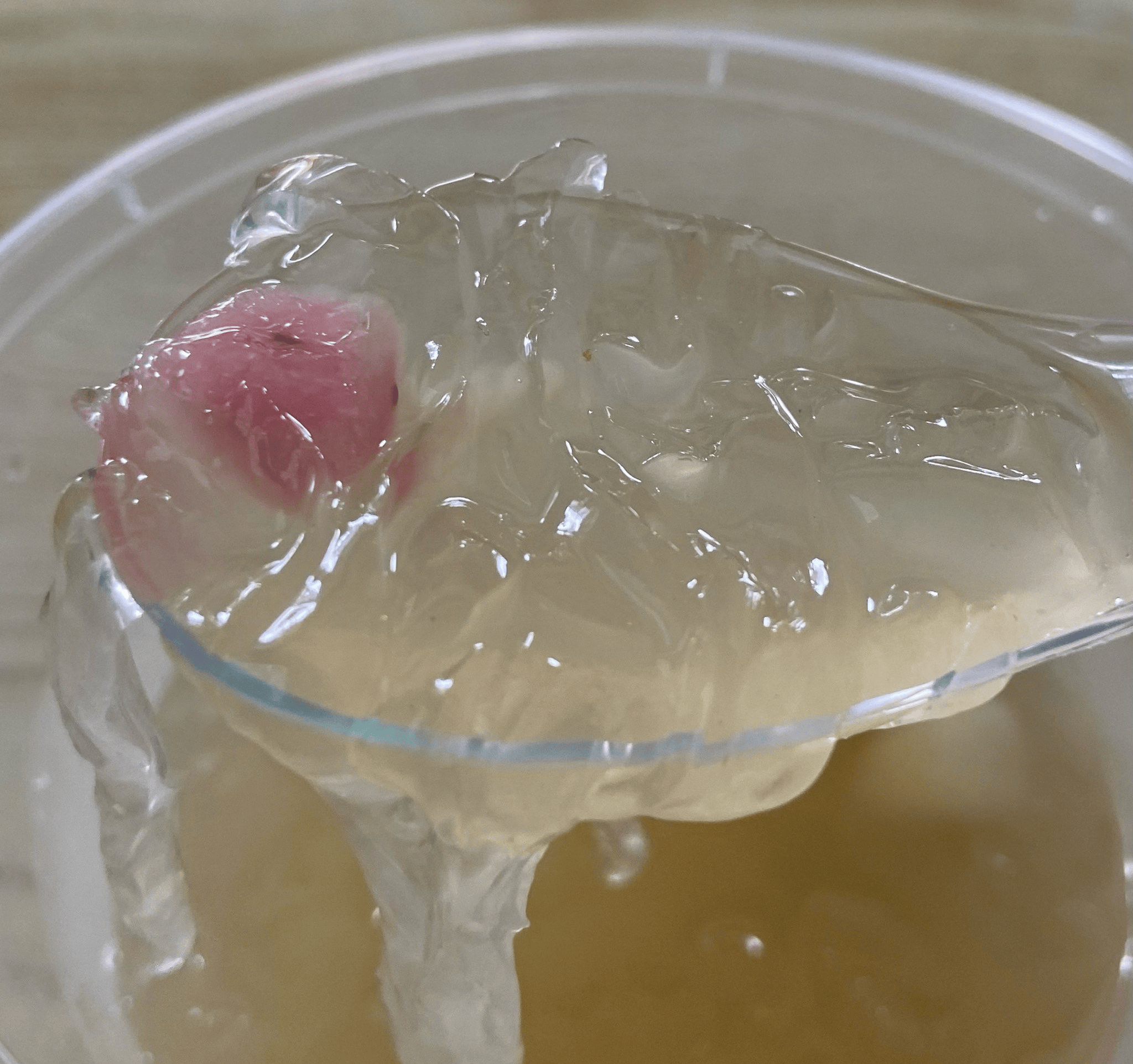 原創泉州美食，8家必吃老字號寶藏小館！藏在古城裡的古早味，照著吃不踩雷