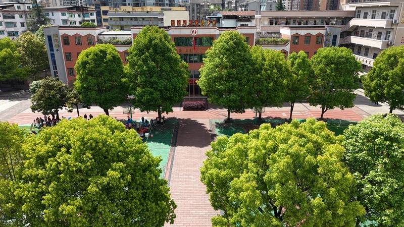 擁抱AI！桐梓婁山關將軍希望小學“數字化”教學提質增效