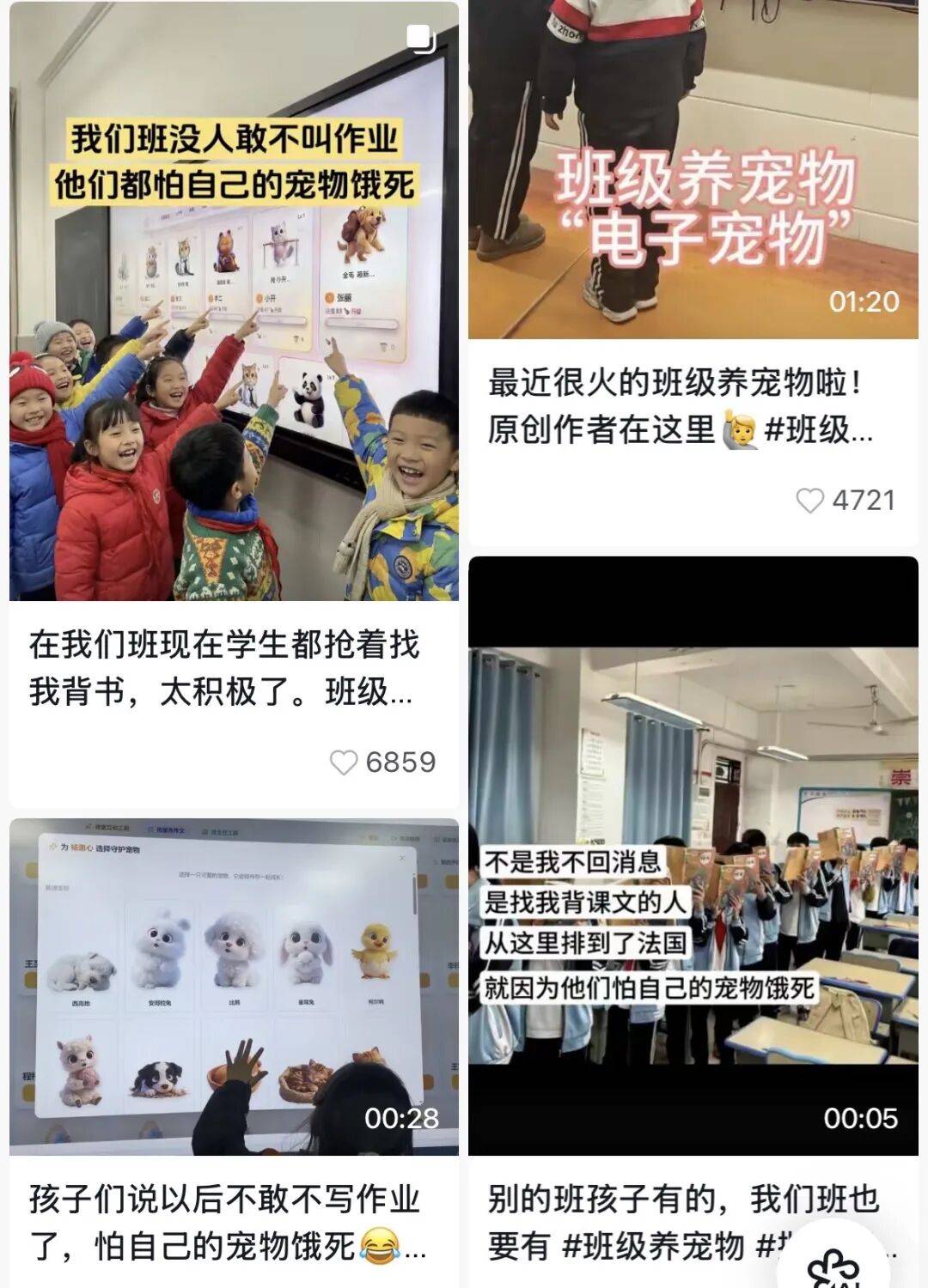 風靡全國的雲養寵，硬控10後小學生