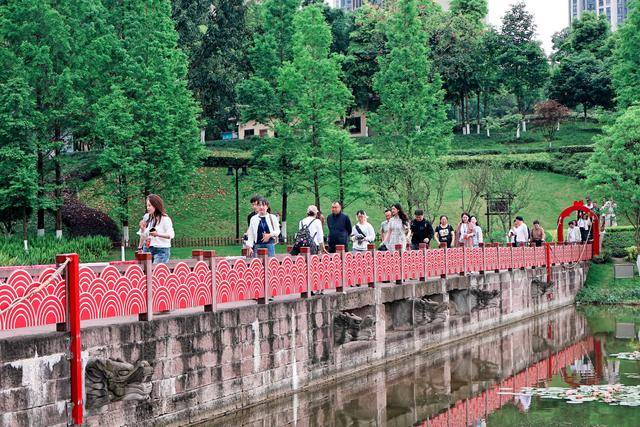全國20多家晚報“看重慶”，山城軌道串起文化旅遊新場景
