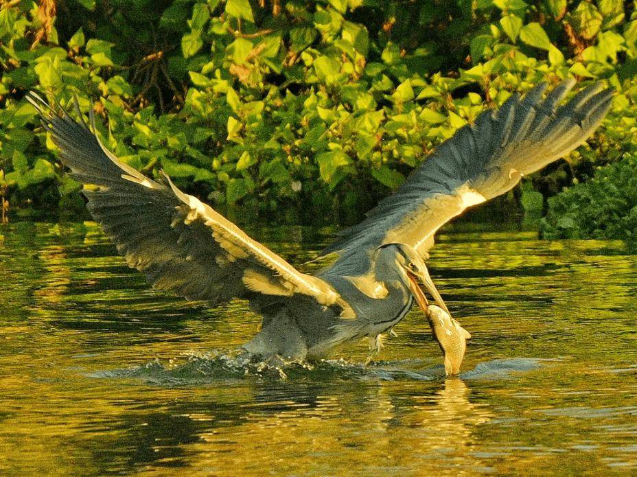 昆明瀑布公園 N 種玩法！水霧、遛娃與撒歡指南來了，快轉發收藏~