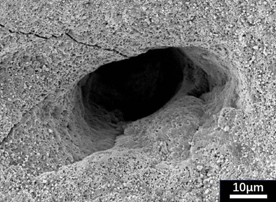 煮蛋也能發論文？全網“最懂雞蛋”的出現了