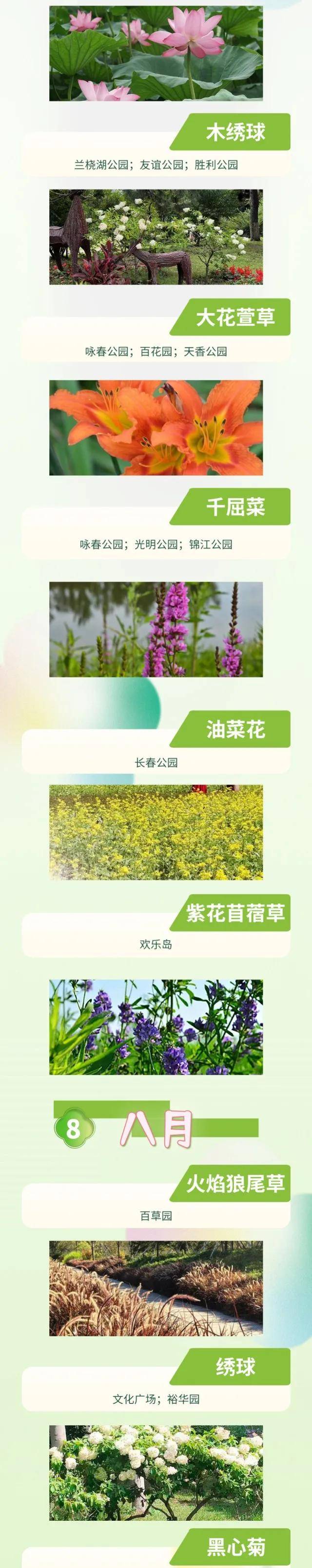 絕了！一直開開開不完！賞花攻略趕緊收藏