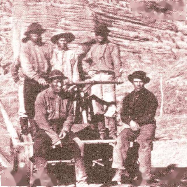 他者中的華人：中國近現代移民史