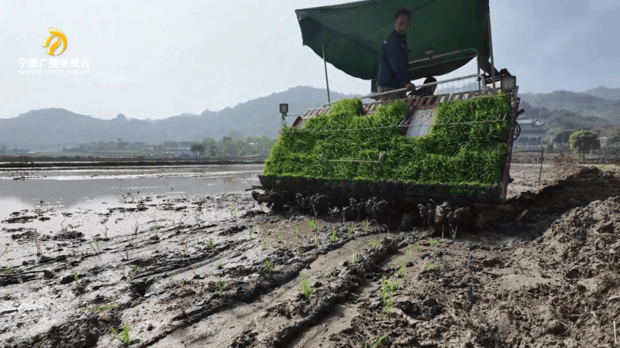 穀雨至，農事興！春耕也玩“黑科技”