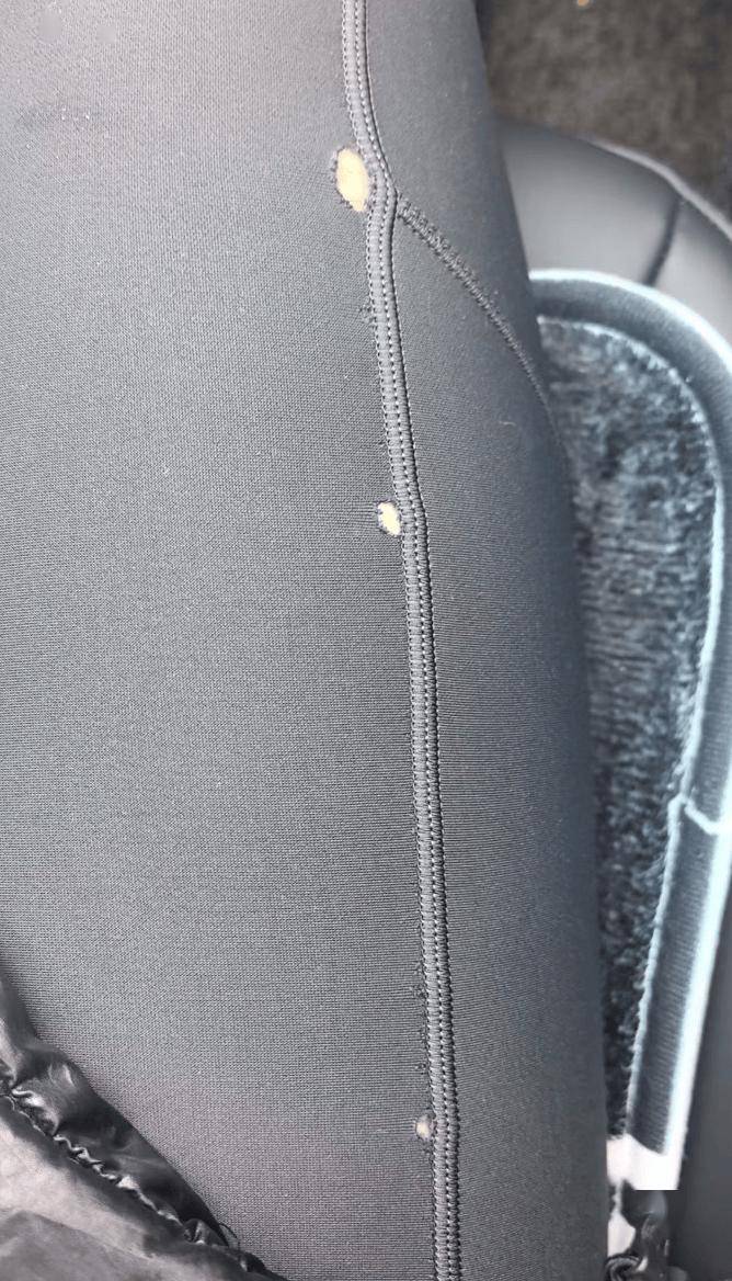 女性的瑜伽褲，中產的遮羞布