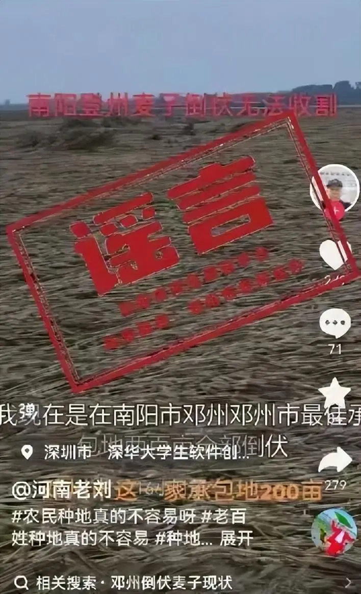 網傳“南陽鄧州小麥倒伏無法收割”為陳年舊素材剪輯，“河南老劉”被約談