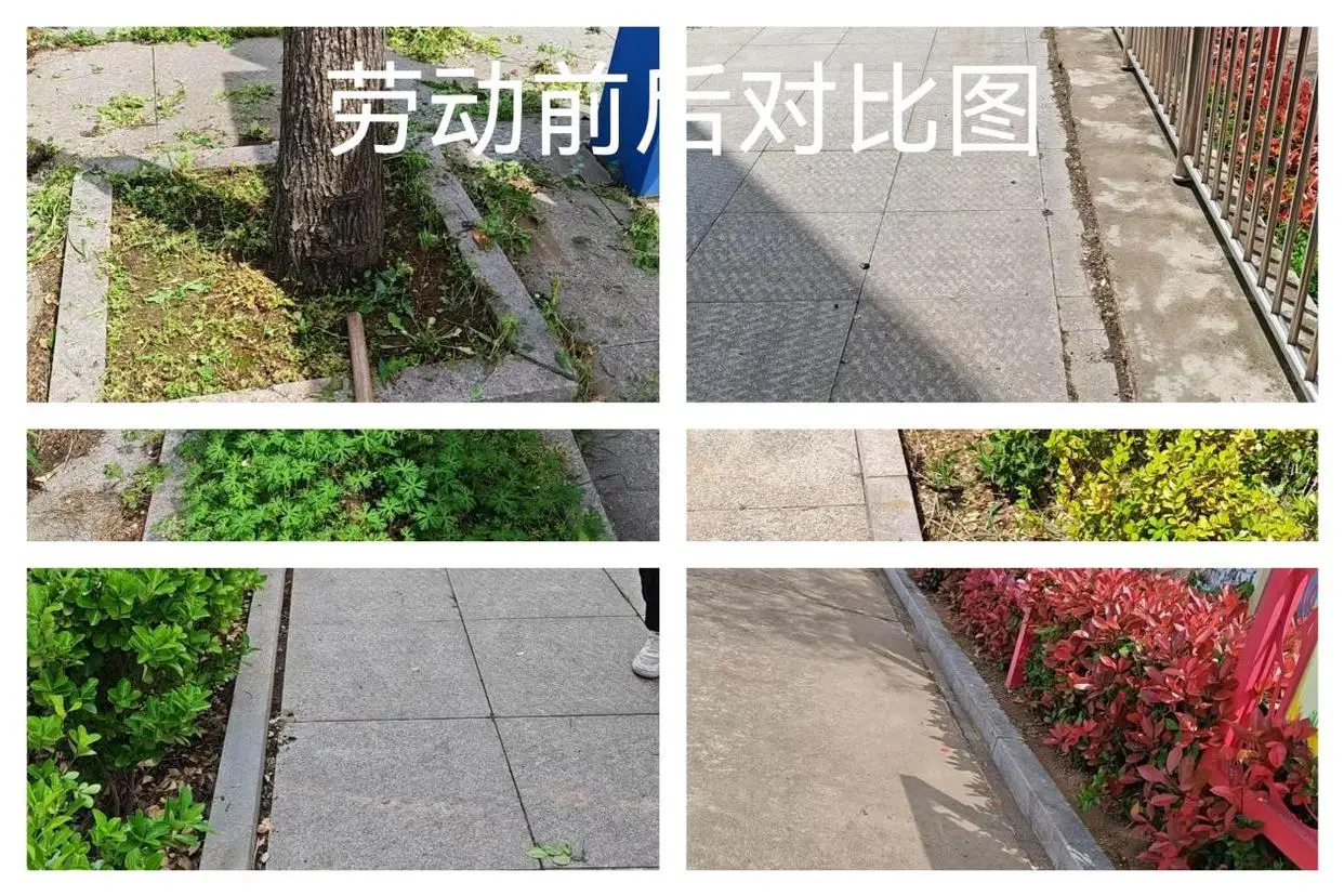 原創莒南縣繡針河小學開展校園除草勞動實踐活動