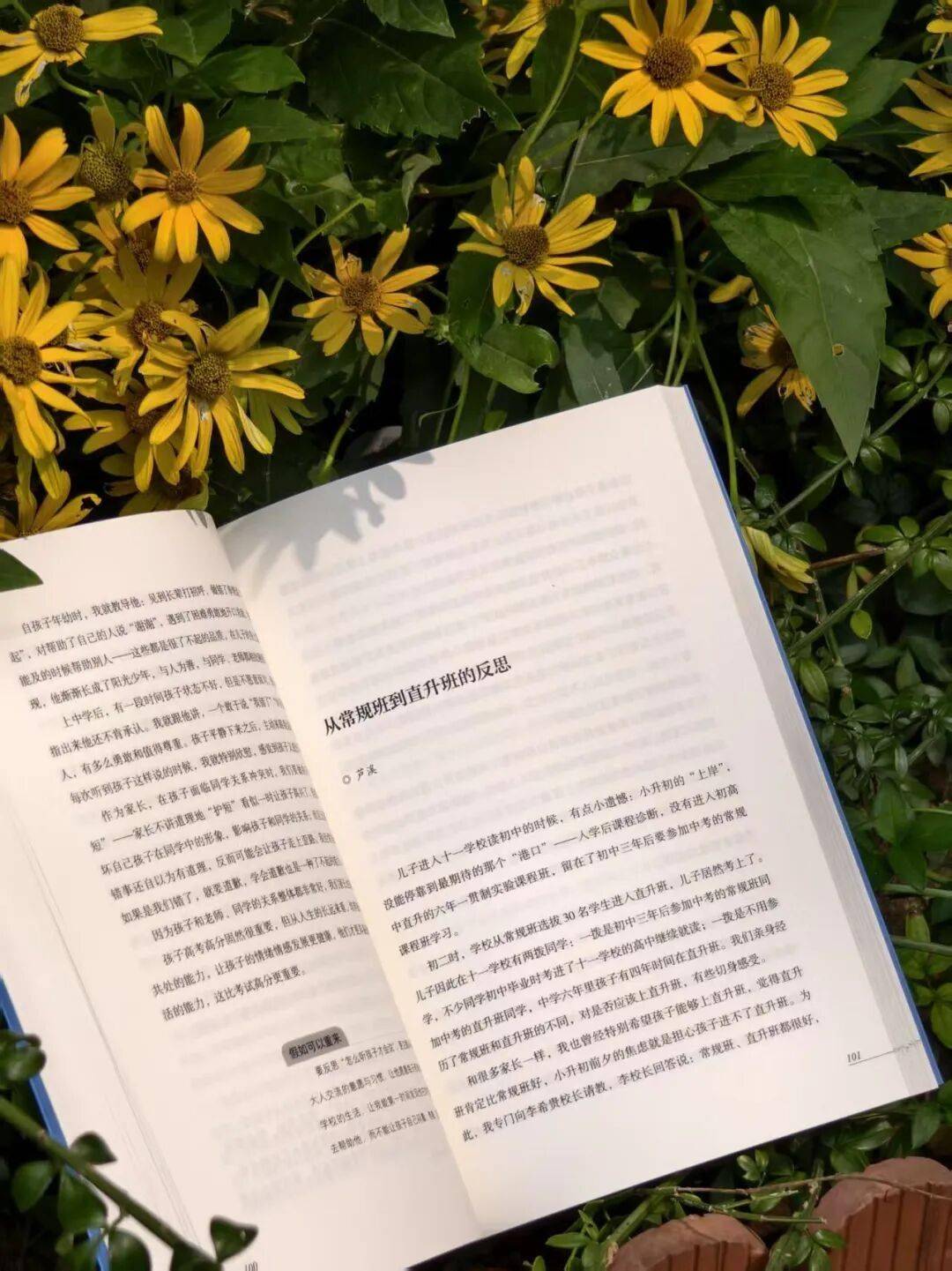 有聲上新 |《我們做對了什麼》：聽十一學校家長，解鎖中學陪伴密碼