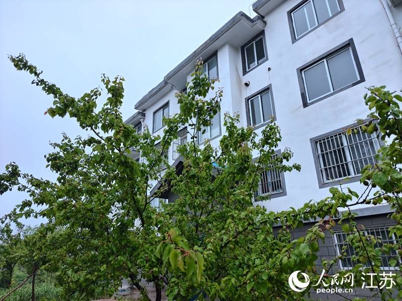 江蘇睢寧“詩歌村”，既長莊稼也長詩