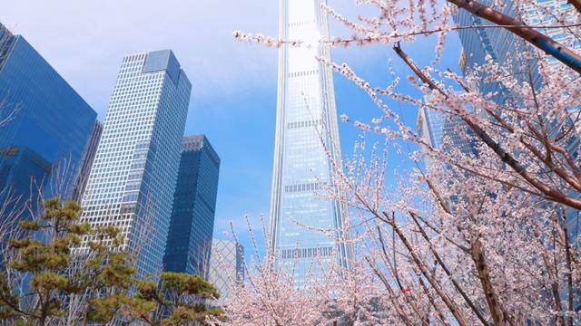 CBD創新力量｜北京CBD：從“水泥森林”到“花園客廳”