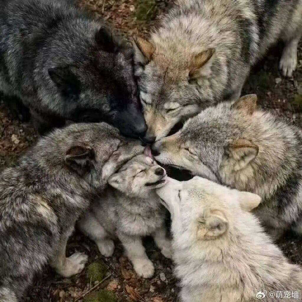 “裝修讓父母參與的下場竟然是…？”哈哈哈大眾點評上怎麼沒看到你家！