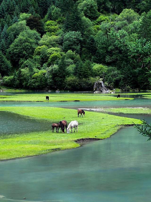 四川旅遊，甘孜月亮湖真的好好玩！