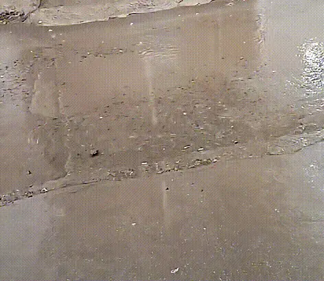 緊急提醒：關好門窗！陝西釋出災害性天氣預報！小雨、陣雨、局地中到大雨明天到 →