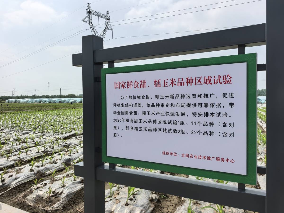 雷達監測昆蟲、AI眼鏡識別作物病蟲害！湖北農業新質生產力護航糧食安全