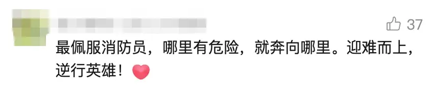 太驚悚! 小轎車內驚現巨型眼鏡王蛇, 體長近3米, 6斤重! 蛇到處亂竄, 最終…