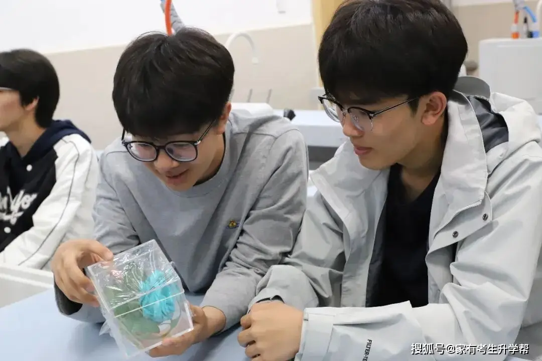 看見科學、化啟未來，鄭州大學化學學院走進鄭州中學開展科普實踐活動紀實