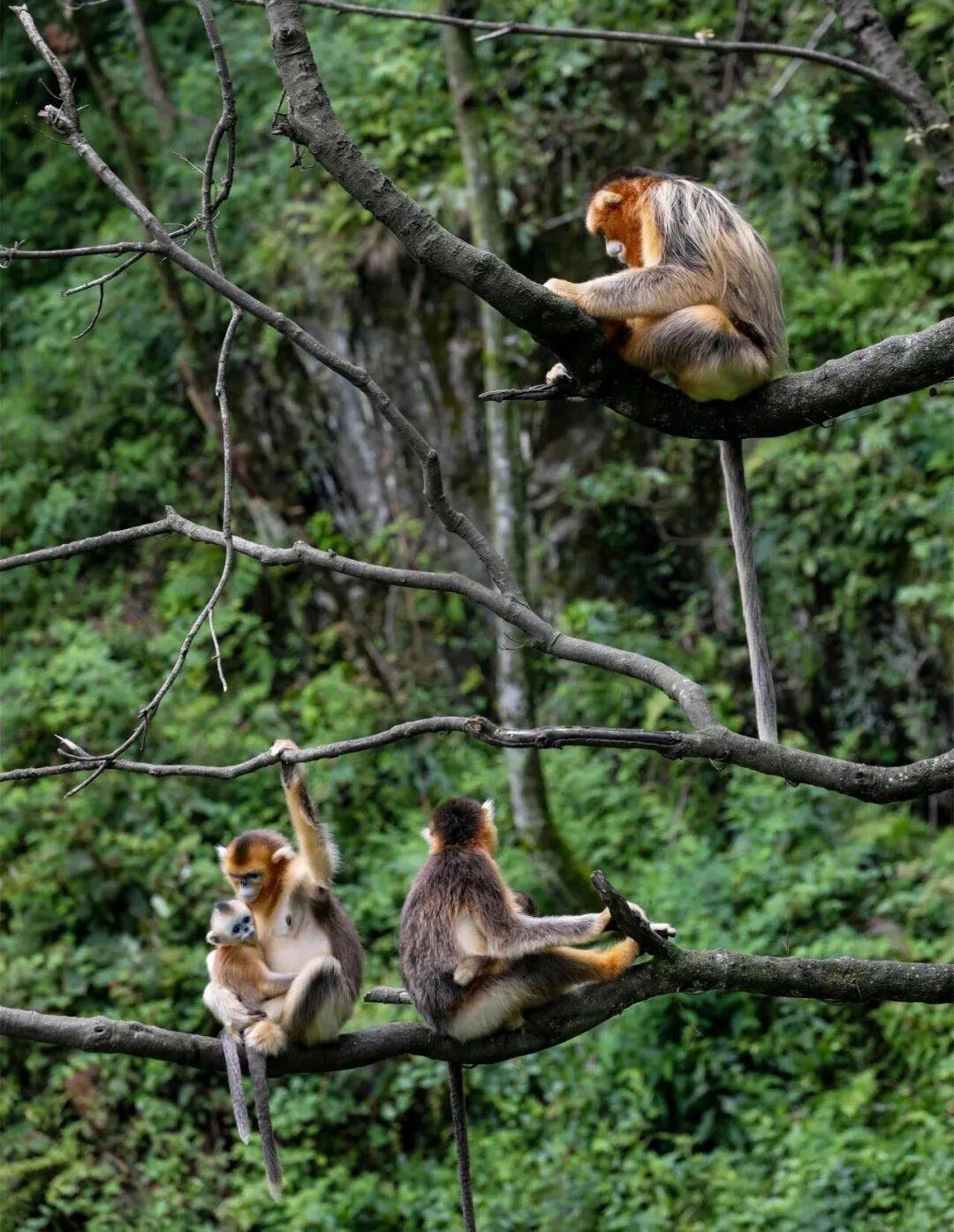 五一小長假倒計時！隴南熱門景區停車泊位數量公佈，趕緊收藏→