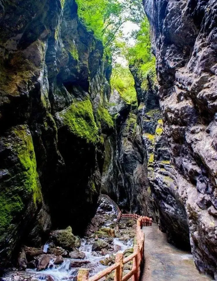 五一小長假倒計時！隴南熱門景區停車泊位數量公佈，趕緊收藏→