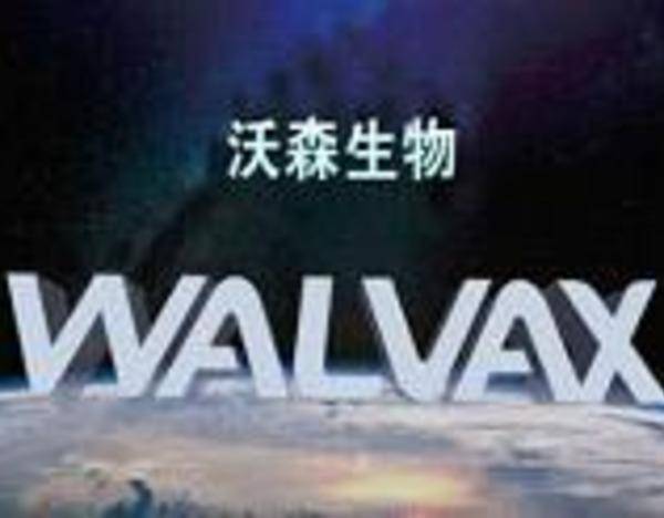 一季度淨利大增4082%，沃森生物施展“會計魔術”？